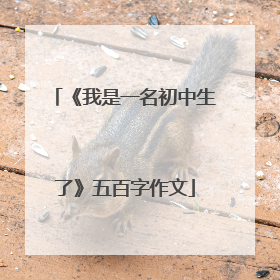 《我是一名初中生了》五百字作文