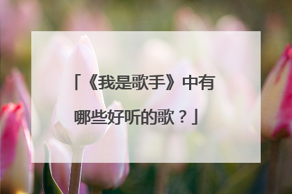 《我是歌手》中有哪些好听的歌？