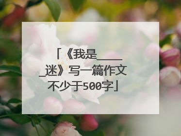 《我是_____迷》写一篇作文不少于500字