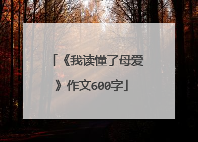 《我读懂了母爱》作文600字