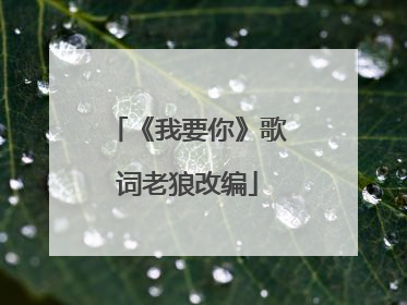 《我要你》歌词老狼改编