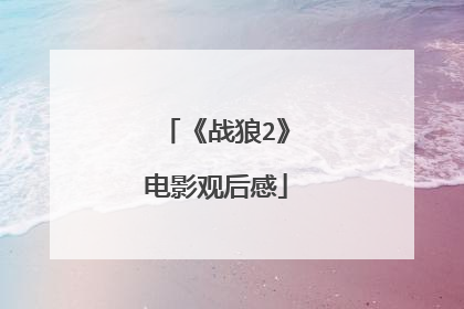 《战狼2》电影观后感