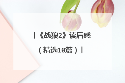 《战狼2》读后感（精选10篇）