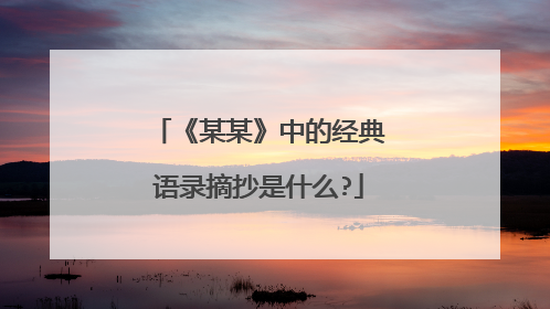 《某某》中的经典语录摘抄是什么?