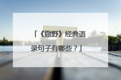 《撒野》经典语录句子有哪些？