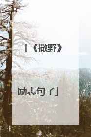 《撒野》励志句子