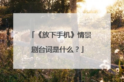 《放下手机》情景剧台词是什么?