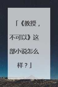 《教授，不可以》这部小说怎么样？