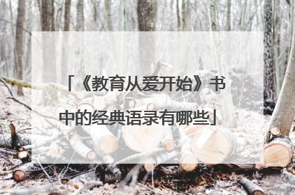 《教育从爱开始》书中的经典语录有哪些