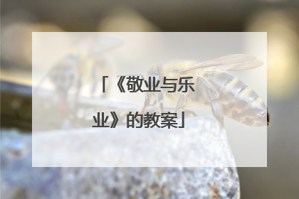 《敬业与乐业》的教案