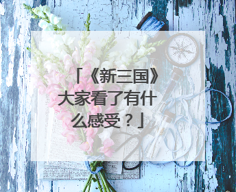 《新三国》大家看了有什么感受？