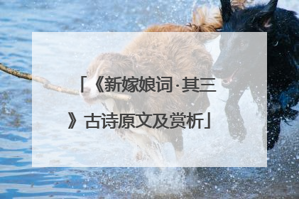 《新嫁娘词·其三》古诗原文及赏析