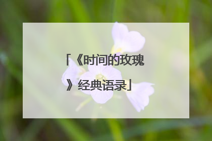 《时间的玫瑰》经典语录