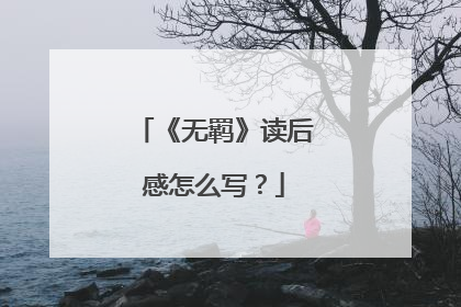 《无羁》读后感怎么写？