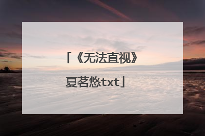 《无法直视》夏茗悠txt