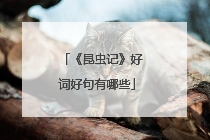 《昆虫记》好词好句有哪些