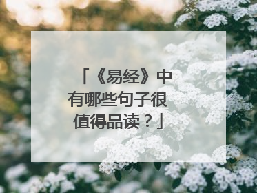《易经》中有哪些句子很值得品读？
