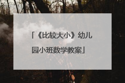 《比较大小》幼儿园小班数学教案