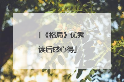 《格局》优秀读后感心得