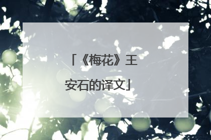 《梅花》王安石的译文