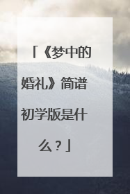 《梦中的婚礼》简谱初学版是什么？