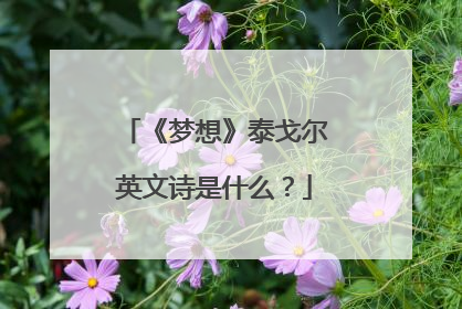 《梦想》泰戈尔英文诗是什么?