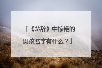 《楚辞》中惊艳的男孩名字有什么？