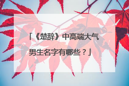《楚辞》中高端大气男生名字有哪些?