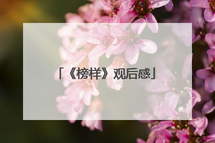 《榜样》观后感