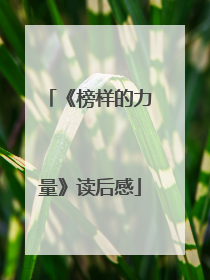 《榜样的力量》读后感