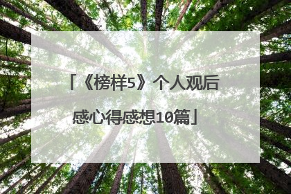 《榜样5》个人观后感心得感想10篇