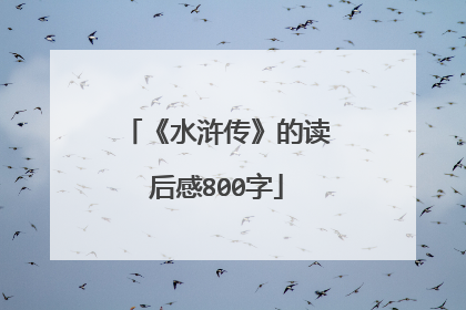 《水浒传》的读后感800字