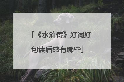 《水浒传》好词好句读后感有哪些