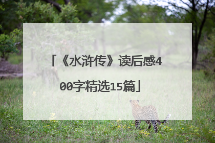 《水浒传》读后感400字精选15篇