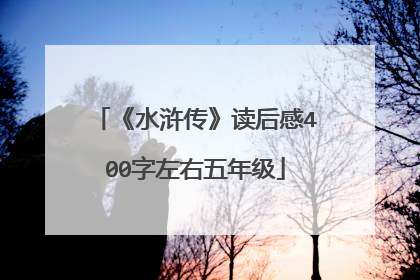 《水浒传》读后感400字左右五年级