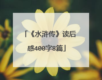 《水浒传》读后感400字8篇