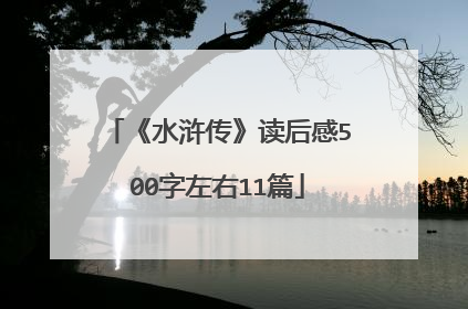 《水浒传》读后感500字左右11篇