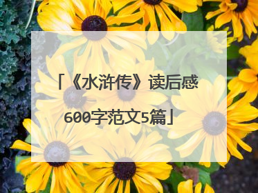 《水浒传》读后感600字范文5篇