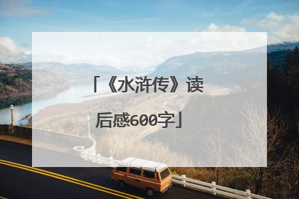 《水浒传》读后感600字