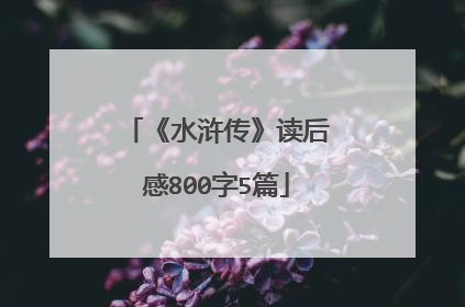 《水浒传》读后感800字5篇