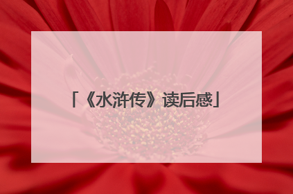 《水浒传》读后感