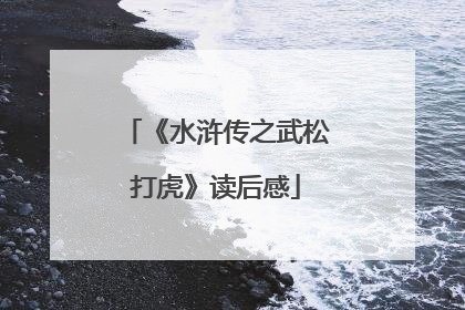 《水浒传之武松打虎》读后感