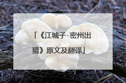 《江城子·密州出猎》原文及翻译