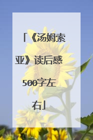 《汤姆索亚》读后感500字左右