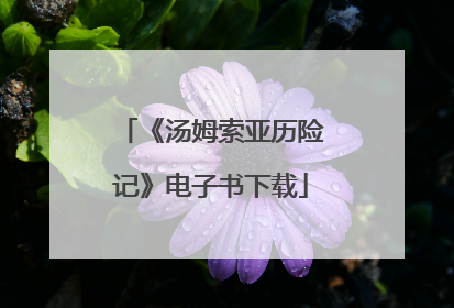 《汤姆索亚历险记》电子书下载