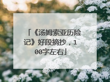 《汤姆索亚历险记》好段摘抄,100字左右
