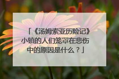 《汤姆索亚历险记》小镇的人们笼罩在悲伤中的原因是什么？