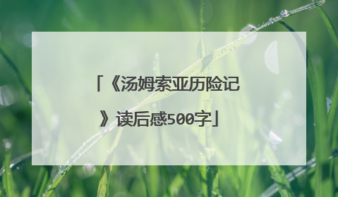《汤姆索亚历险记》读后感500字