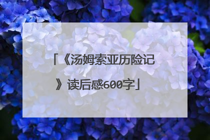 《汤姆索亚历险记》读后感600字