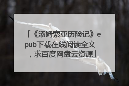 《汤姆索亚历险记》epub下载在线阅读全文,求百度网盘云资源